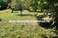Elado-telek-Ingatlan-Zalaegerszeg-Bazita.-www.becsuletesingatlanos.hu-3