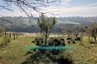 Elado-csaladi-haz-nagy-terulettel-Zalaegerszegen.-www.becsuletesingatlanos.hu_