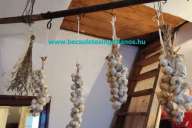 Elado-kadar-kocka-csaladi-haz-Zalaegerszeg.-www.becsuletesingatlanos.hu_