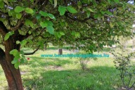 Elado-haz-Zalaegerszeg-kertvaros-Zala-megye-1.-www.becsuletesingatlanos.hu_