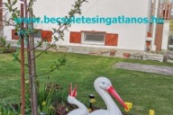 Hevizen-ketgeneracios-csaladi-haz-elado-Zala-megyeben-18.-www.becsuletesingatlanos.hu_