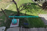 Elado-zartkerti-ingatlan-telek-epulet-Zalaegerszeg-Zala-megye-10.-www.becsuletesingatlanos.hu_