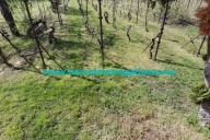 Elado-zartkerti-ingatlan-telek-epulet-Zalaegerszeg-Zala-megye-3.-www.becsuletesingatlanos.hu_