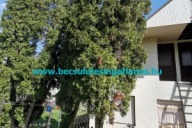 Elado-zartkerti-ingatlan-telek-epulet-Zalaegerszeg-Zala-megye-5.-www.becsuletesingatlanos.hu_