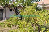 Elado-teglaepitesu-kadar-kocka-satortetos-csaladi-haz-kuttal-garazzsal-Zalaegerszeg-Zala-megye.-sik-telek.-www.becsuletesingatlanos.hu_