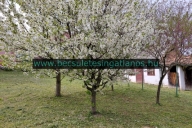 Elado-csaladi-haz-Zalaegerszeg-Zala-megye-11.-www.becsuletesingatlanos.hu_