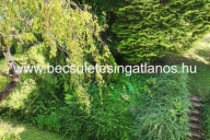 Elado-sorhazi-lakas-Zalaegerszeg-belvaros-kozeli-Zala-megye-21.-www.becsuletesingatlanos.hu_